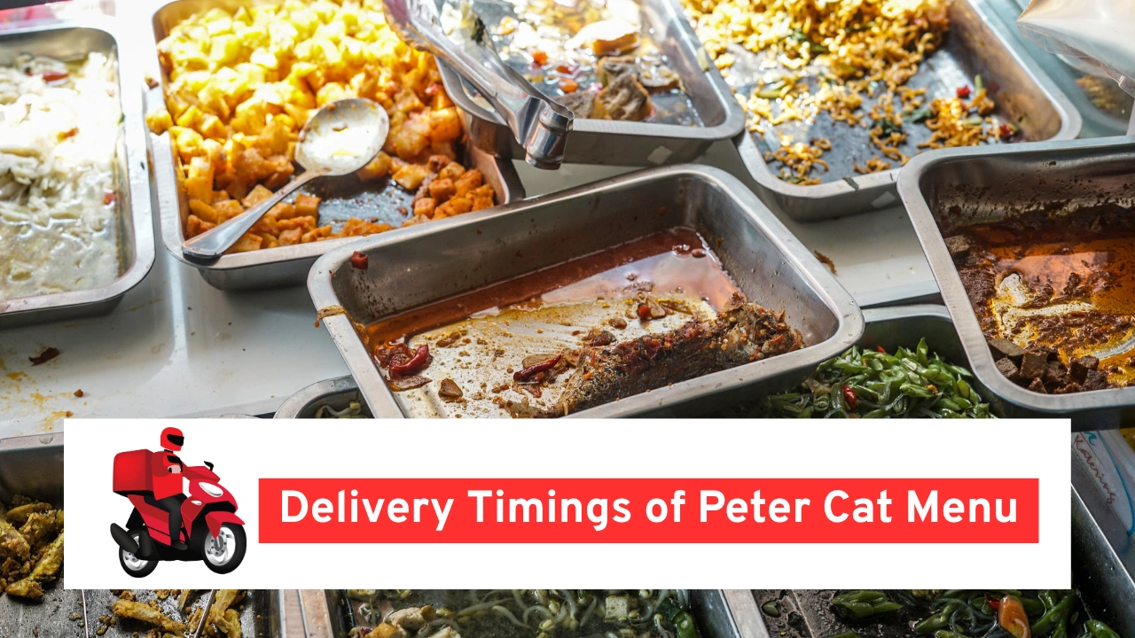 Delivery Timings of Peter Cat Menu