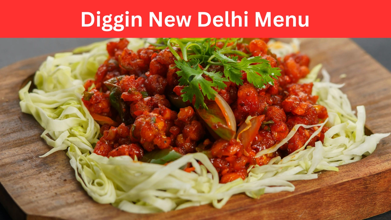 diggin new delhi menu