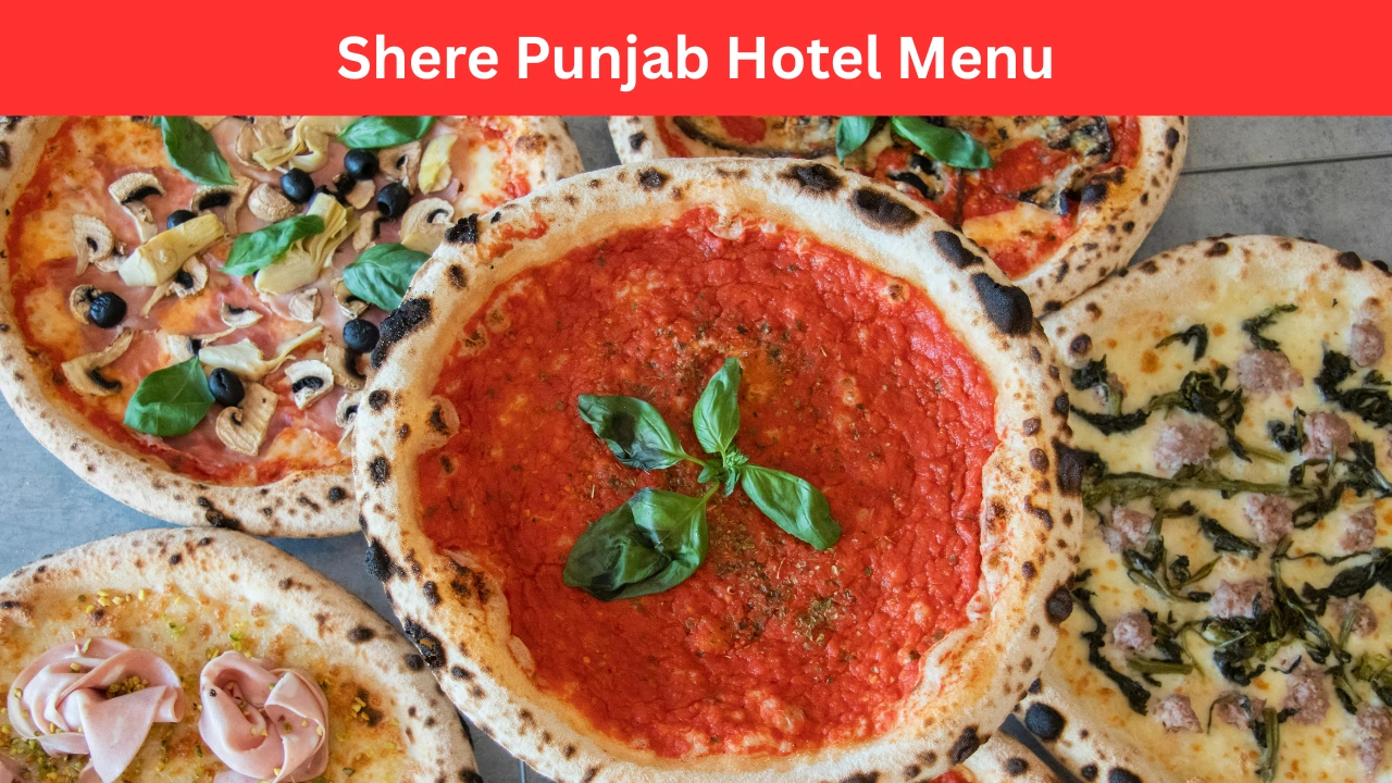 shere punjab hotel menu