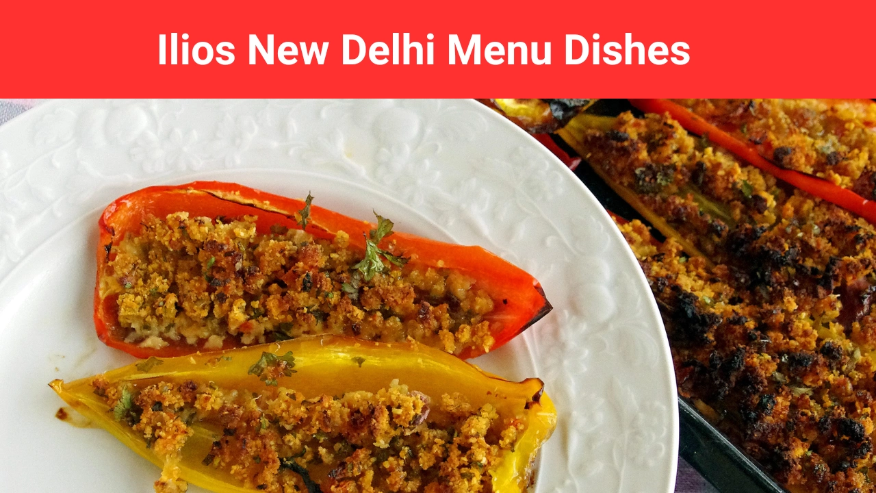 Ilios New Delhi Menu Dishes