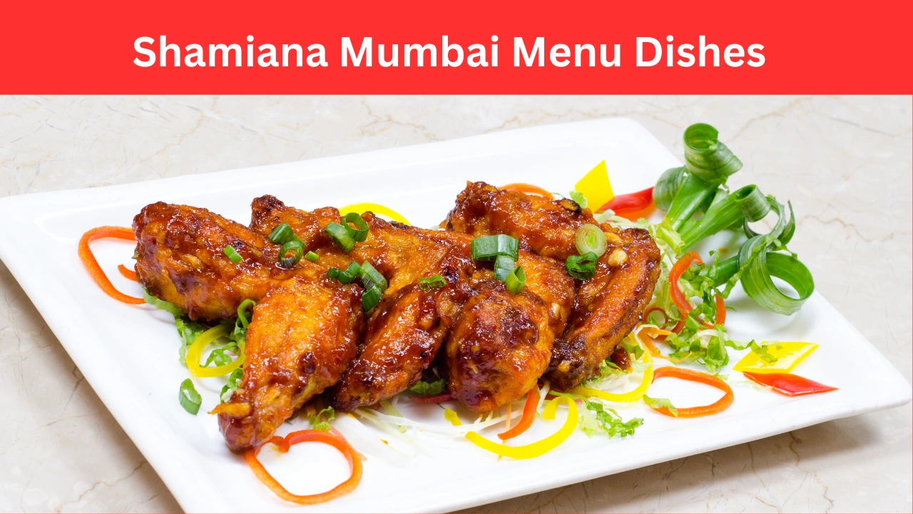 Shamiana Mumbai Menu Dishes