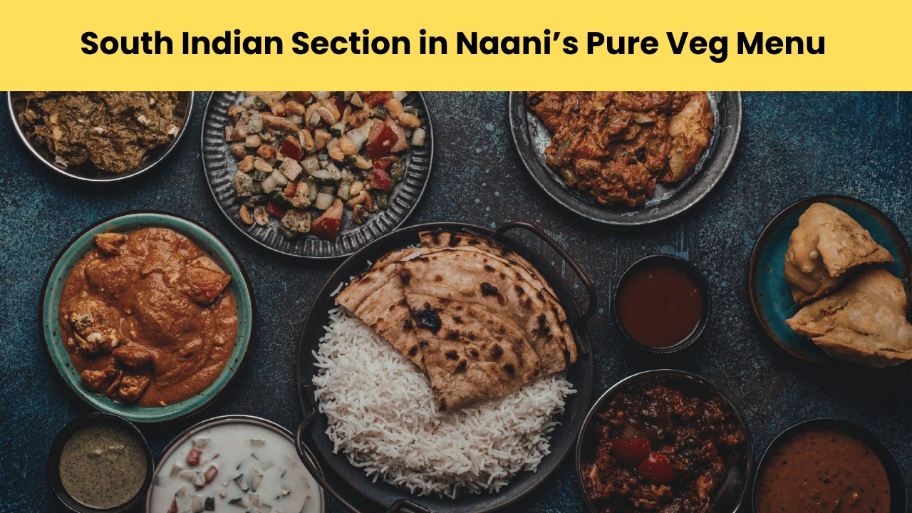 South Indian Section in Naani’s Pure Veg Menu