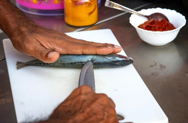 Exploring Regional Seafood Traditions in Indian Home Cooking