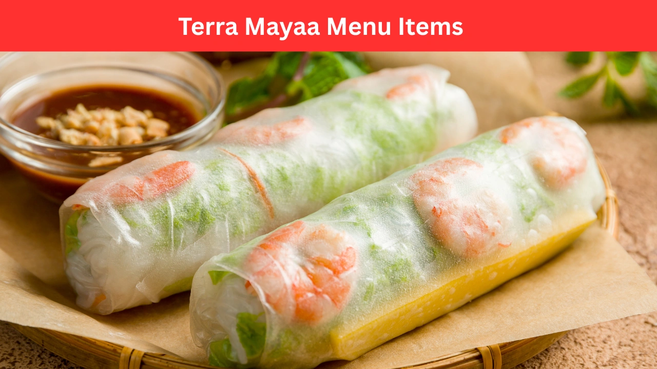 Terra Mayaa Menu Items