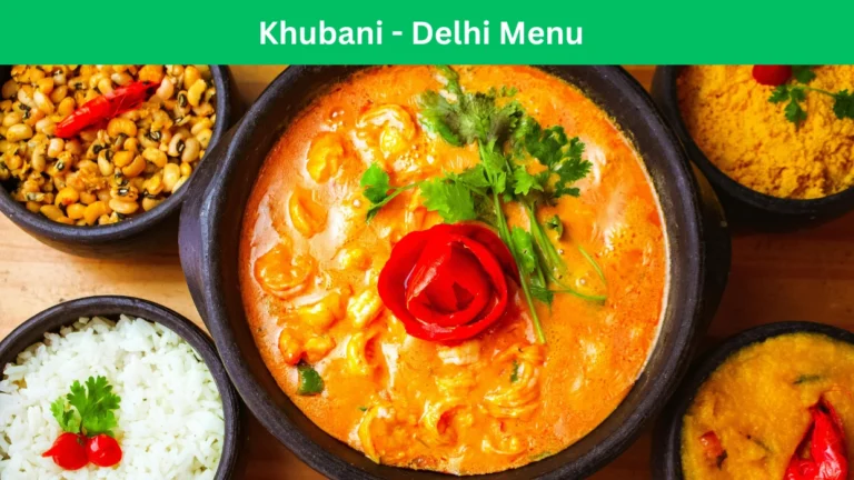 khubani - delhi menu